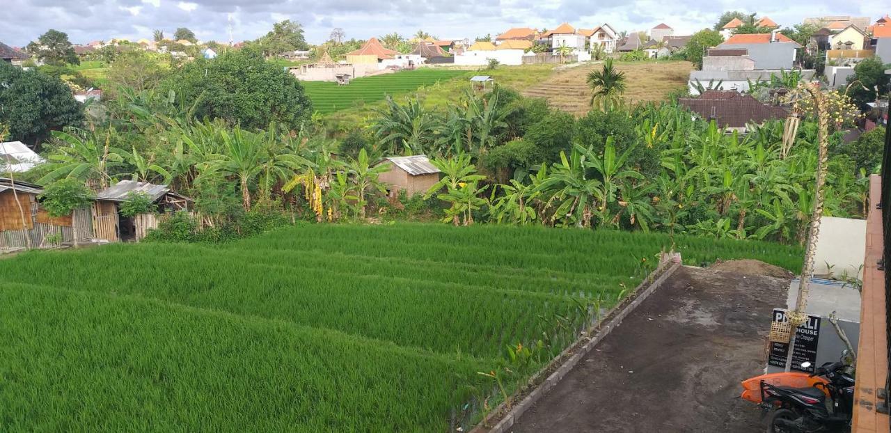 Pd Bali Guesthouse ชังกู ภายนอก รูปภาพ